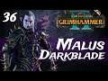 Total War: Warhammer 2 | SFO Grimhammer II - Malus Darkblade Campaign #36 | Completely Necessary