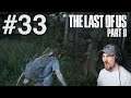 Let's Play The Last of Us Part II #33 - A & E
