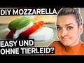 Mozzarella - Geht das auch vegan und ohne Tierleid? || PULS Reportage