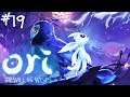 ★[Ori and the Will of the Wisps]★ #19 - Let's Play | Gameplay [Full HD]