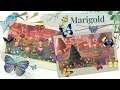 Quaint Cottage Core Island Tour (Marigold) ~ Animal Crossing: New Horizons