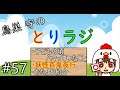 鳥巣 守のとりラジ#57『オルゴールはお好きですか?』