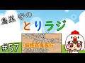 鳥巣 守のとりラジ#57『オルゴールはお好きですか？』