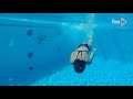 Kang Li One-Piece Black Swimsuit Butt Underwater Swimming Pool Scene