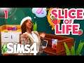 SLICE OF LIFE MOD LET'S PLAY in The Sims 4 // Part One