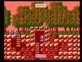 The Wing of Madoola (Japan) (NES)