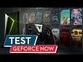 Geforce Now im Test / Review: Das bessere Stadia?