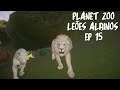 PLANET ZOO - EP 15 - CASAL DE LEÕES ALBINOS  - (MODO FRANQUIA)  [PT-BR]