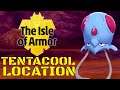 Pokemon Sword And Shield Tentacool Location Isle Of Armor Pokemon