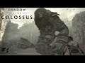 Shadow of the Colossus (PS4) | #1 | VALUS