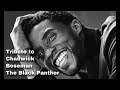 Tribute to Chadwick Boseman “The Black Panther”