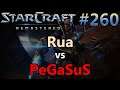 CARTOONED - Rua (P) vs PeGaSuS (P) - Sept 2009 - StarCraft: Remastered - Replay-Cast #260 [Deutsch]