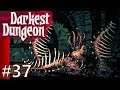 Darkest Dungeon #37 Unstable Flesh 2/3
