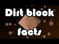 Dirt Block Facts
