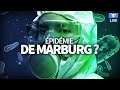 🦠Faut-il craindre une épidémie du virus Marburg?
