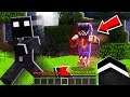 I was CHASED by SONIC.EXE in Minecraft at NIGHT... (Sonic the Hedgehog in Minecraft)