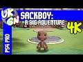 Sackboy: A Big Adventure [PS4 Pro] UKGN debut gameplay 4K