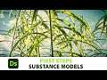 Substance 3D Designer: Introduction to Substance Models | Adobe Substance 3D