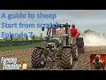 A guide to sheep with Season and maize plus - ep7
