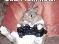 Diablo 3 ROS - Monk on accidental master or expert. Ready to go torment. Funny stuff