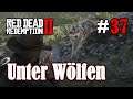 Let's Play Red Dead Redemption 2 #37: Unter Wölfen [Frei] (Slow-, Long- & Roleplay)