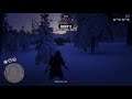 RDR 2 Shotgun Bug?