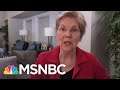 Senator Warren: Filibuster Gives McConnell A Veto Over Democratic Majority | Rachel Maddow | MSNBC