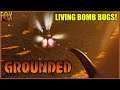 THE HAZE IS HORRIBLE! Grounded (Season 2 Alpha 0.3) - Episode 6