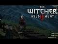 THE WITCHER 3: WILD HUNT ⚔️ Mieses KANNIBALEN-PACK! | #036