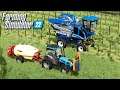 Uprawa WINOGRON 🍇 - Farming Simulator 22