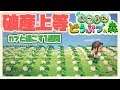 【あつまれどうぶつの森】この島、カブ臭くね?【ベルモンド・バンデラス/にじさんじ】