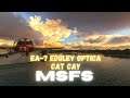 MSFS | Microsoft Flight Simulator | EA-7 Edgley Optica | Cat Cay Bahamas