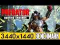 Predator: Hunting Grounds - PC Ultra Quality (3440x1440)