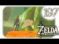 The Legend of Zelda: Breath of the Wild #197 💎Let's Play|Wii U💎 Unverschämtheit kennt keine Grenzen