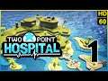Two Point Hospital. PC. Introduction First Look. Gameplay. Lets Play. Part 1. PugmanPlays HD Video.