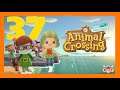 Animal Crossing - New Horizons |37| ★