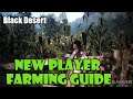 [Black Desert] UPDATED GUIDE IN DESCRIPTION Beginner New Player Farming Guide: Like Plants Gardening