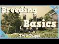 Breeding Basics - Two Dinos - Ark: Survival Evolved