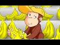 Jorge el Curioso en Español 🐵Jorge el Tendero 🐵 Mono Jorge | Caricaturas para Niños