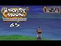 Let's Play Harvest Moon: Hero of Leaf Valley 65: Night Fishing