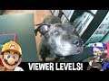 Romeo Doesn't Approve - Super Mario Maker 2 (Viewer Levels)