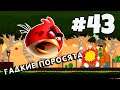 Стелла в деле. 43 серия игры Энгри Бердс на канале MiniMax. Прохождение игры  Angry Birds