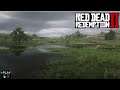 Gameplay/Live - Desafio Diário 06/12/20 - Red Dead Redemption 2