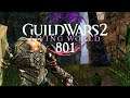 Guild Wars 2: Living World 4 [LP] [Blind] [Deutsch] Part 801 - Dem Wissenschaftler auf der Spur