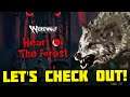 Let's Check Out - Werewolf: The Apocalypse - Heart of The Forest (Xbox) | 8-Bit Eric