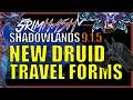 NEW Druid Travel Forms // Patch 9.1.5 // WoW Shadowlands