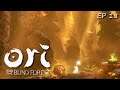 Playing With A Ball In The Forest | Ori And The Blind Forest Ep 18