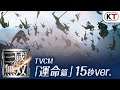 TVCM 運命篇15秒 アプリ『真・三國無双』