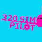 320 Sim Pilot