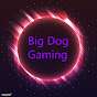 BigDog Gaming